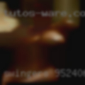 Swingers 95240